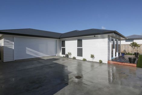 Photo of property in 912 Miro Street, Mahora, Hastings, 4120