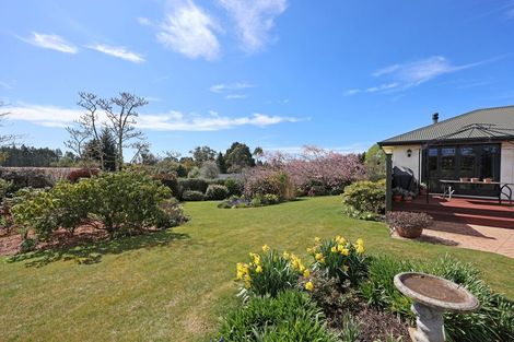 Photo of property in 331 Homestead Road, Weston, Oamaru, 9491