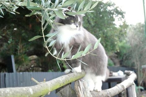 Photo of property in 12 Chamberlain Avenue, Amberley, 7481