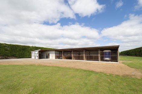 Photo of property in 569 Wakanui Road, Elgin, Ashburton, 7777