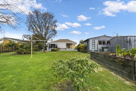 Photo of property in 58 Neal Street, Putaruru, 3411