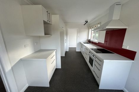 Photo of property in 3 Mcglashan Street, Glenleith, Dunedin, 9010