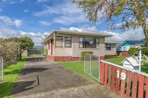 Photo of property in 19 Balmoral Street, Levin, 5510
