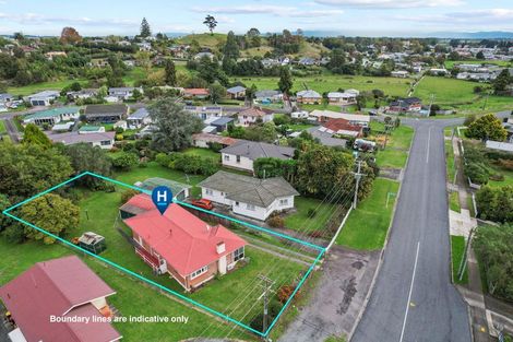 Photo of property in 31 Aorangi Road, Paeroa, 3600