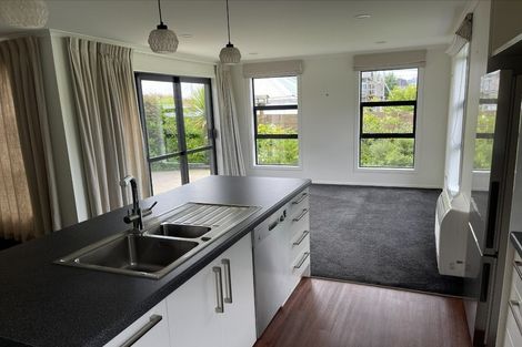 Photo of property in 43b Duncan Street, Dunedin Central, Dunedin, 9016