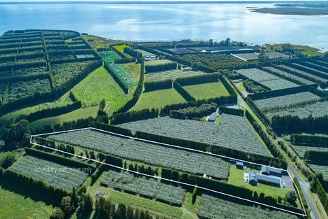 Photo of property in 359 Matahui Road, Aongatete, Katikati, 3181