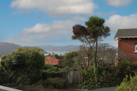 Photo of property in 19a Sheen Street, Roslyn, Dunedin, 9010