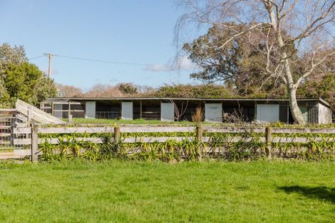 Photo of property in 688 Scarborough Road, Mangamutu, Pahiatua, 4983