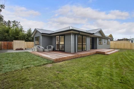 Photo of property in 5d Mangatoetoe Street, Waihi, 3610