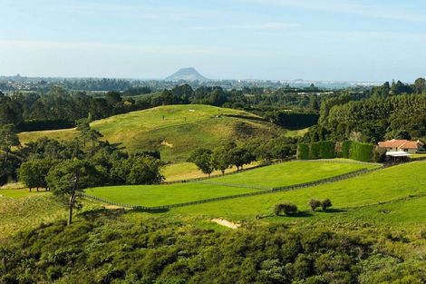 Photo of property in 196c Pukemapu Road, Oropi, 3173