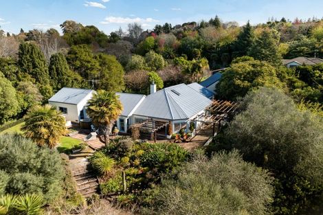 Photo of property in 37 Silkwood Way, Tauriko, Tauranga, 3110