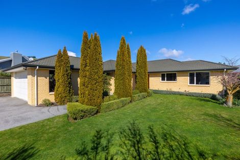 Photo of property in 64 Hillcrest Avenue, Witherlea, Blenheim, 7201