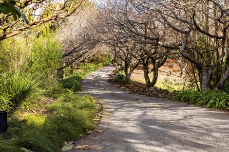 Photo of property in 37 Silkwood Way, Tauriko, Tauranga, 3110