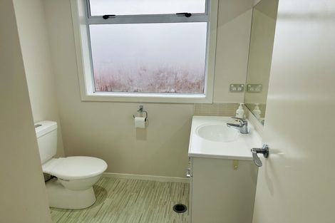 Photo of property in 8a Pitt Street, Frankton, Hamilton, 3204