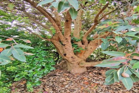 Photo of property in 33 Gawler Street, Te Horo Beach, Otaki, 5581