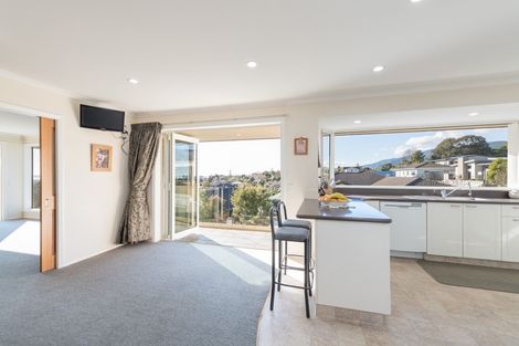 Photo of property in 66 Hunter Avenue, Richmond, 7020