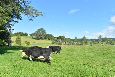 Photo of property in 127 Mcbreen Road, Hikurangi, 0181