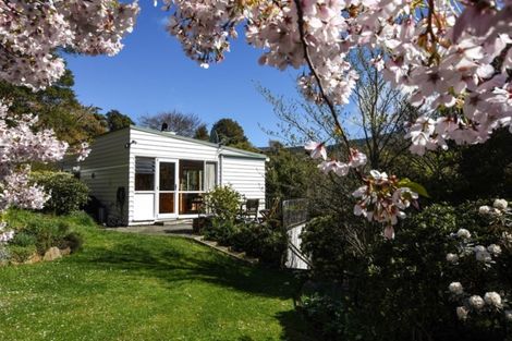 Photo of property in 61 Braeview Crescent, Maori Hill, Dunedin, 9010