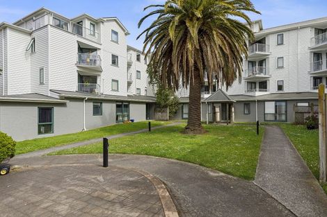 Photo of property in Palm Grove Apartments, 11/13d Palm Grove, Berhampore, Wellington, 6023