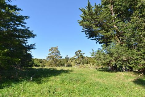 Photo of property in 127 Mcbreen Road, Hikurangi, 0181