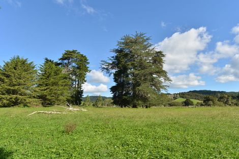 Photo of property in 127 Mcbreen Road, Hikurangi, 0181