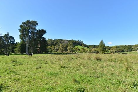 Photo of property in 127 Mcbreen Road, Hikurangi, 0181