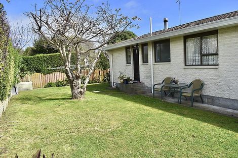 Photo of property in 47b Kirk Street, Otaki, 5512