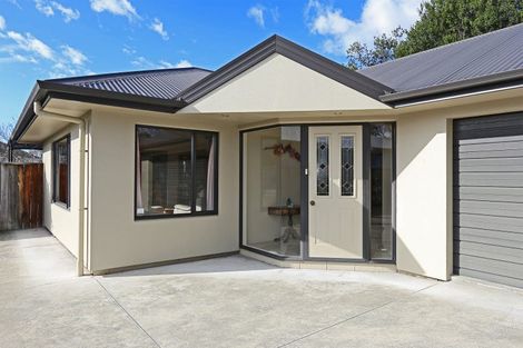 Photo of property in 807a Fitzroy Avenue, Mahora, Hastings, 4120