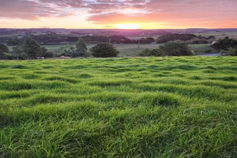 Photo of property in 74 Tarrant Road, Helensville, 0875