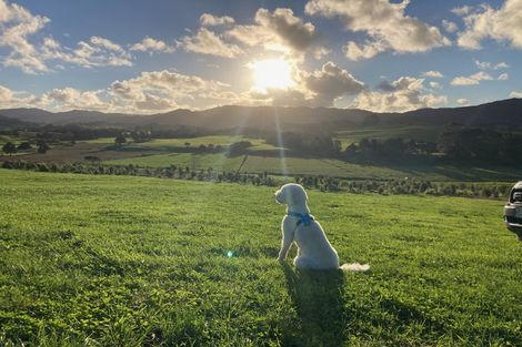 Photo of property in 2138 Cove Road, Mangawhai, 0573