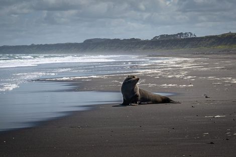 Photo of property in 29a Golf Vue Place, Castlecliff, Whanganui, 4501