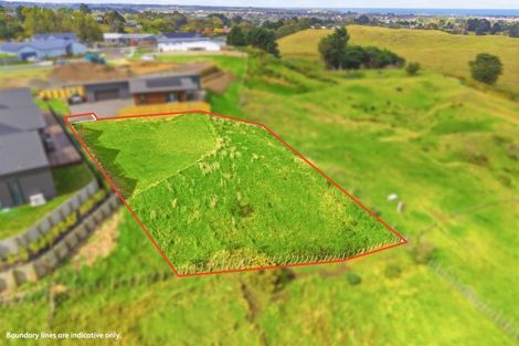 Photo of property in 29 Pukeko Drive, Otamatea, 4501