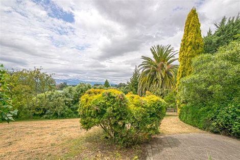 Photo of property in 3 Harvey Place, Renwick, 7204