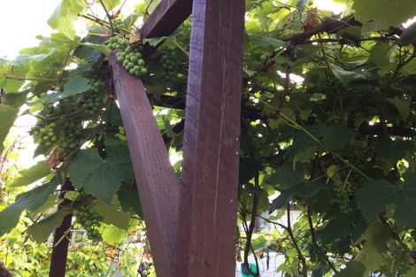 Photo of property in 104 Hays Place, Thames, 3500