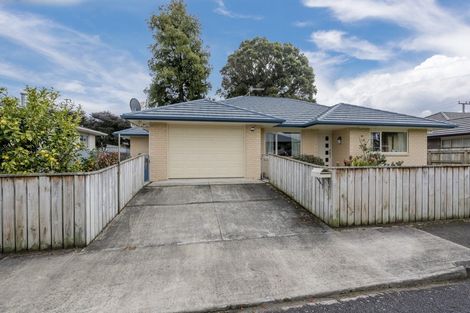 Photo of property in 71 Rugby Street, Levin, 5510