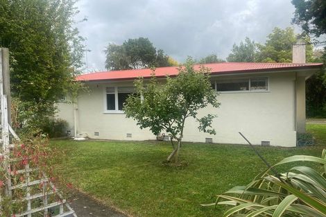 Photo of property in 45 Alfred Street, Roslyn, Palmerston North, 4414