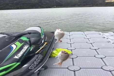 Photo of property in 26 Bristol Road, Whenuapai, Auckland, 0618