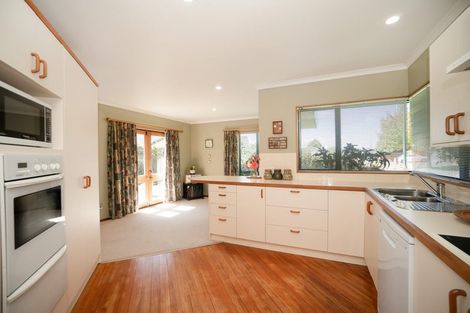 Photo of property in 20 Strachan Way, Highbury, Palmerston North, 4412