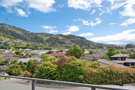 Photo of property in 10 Lingfield Place, Richmond, 7020