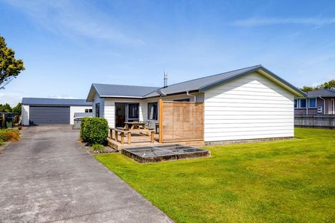 Photo of property in 53 Denmark Terrace, Midhirst, Stratford, 4394