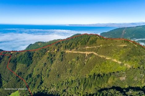 Photo of property in 2464 Port Underwood Road, Port Underwood, Picton, 7281