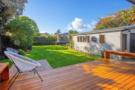 Photo of property in 23 Maranui Avenue, Point Chevalier, Auckland, 1022