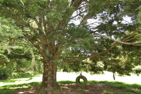 Photo of property in 84 Rigden Road, Opua, 0272