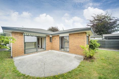 Photo of property in 161 College Street, Awapuni, Palmerston North, 4412