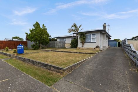 Photo of property in 29 Norwich Crescent, Tamatea, Napier, 4112