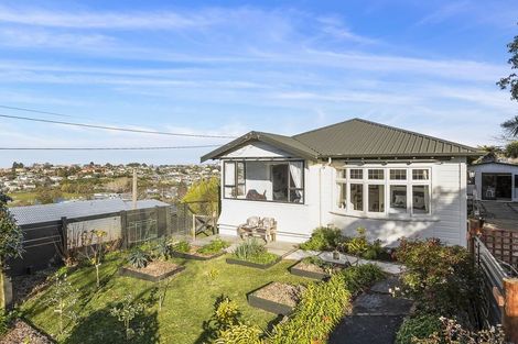Photo of property in 115 Lynn Street, Wakari, Dunedin, 9010