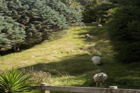 Photo of property in 2 Flight Valley Way, Welcome Bay, Tauranga, 3175