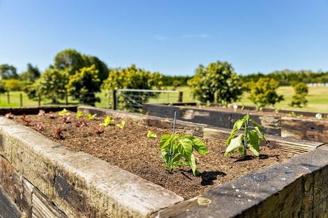 Photo of property in 390 Hereford Road, Oropi, Tauranga, 3173