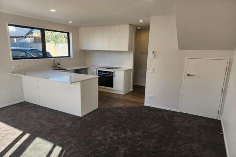 Photo of property in 19b Chatham Street, Addington, Christchurch, 8024