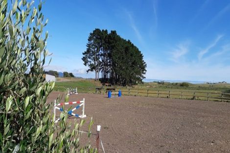 Photo of property in 218 Pukenamu Road, Te Horo, Otaki, 5581